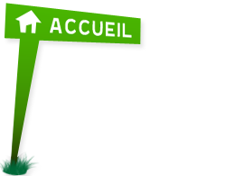 Accueil